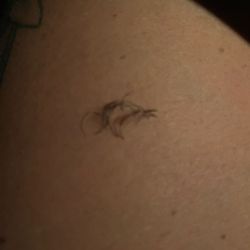Deka Lash - Two hours later, they are still falling out