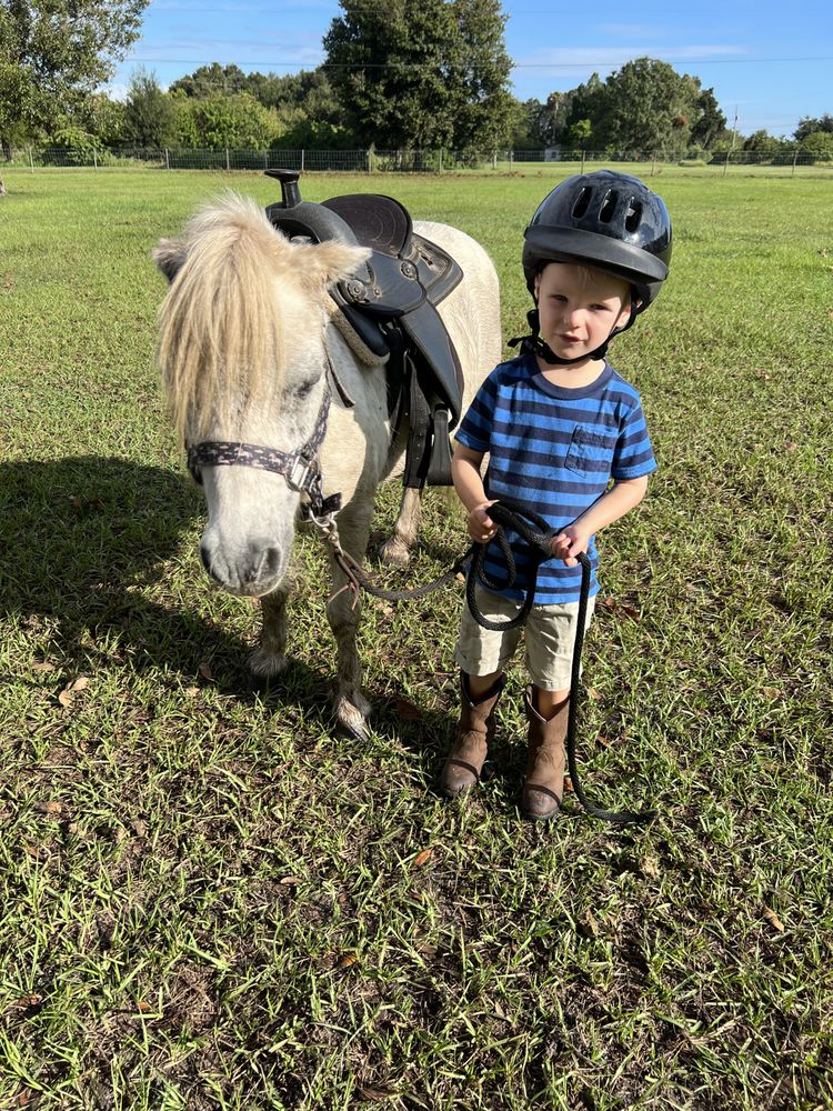 A HORSES TOUCH Updated October 2024 12435 Cody Dr, Wimauma, Florida