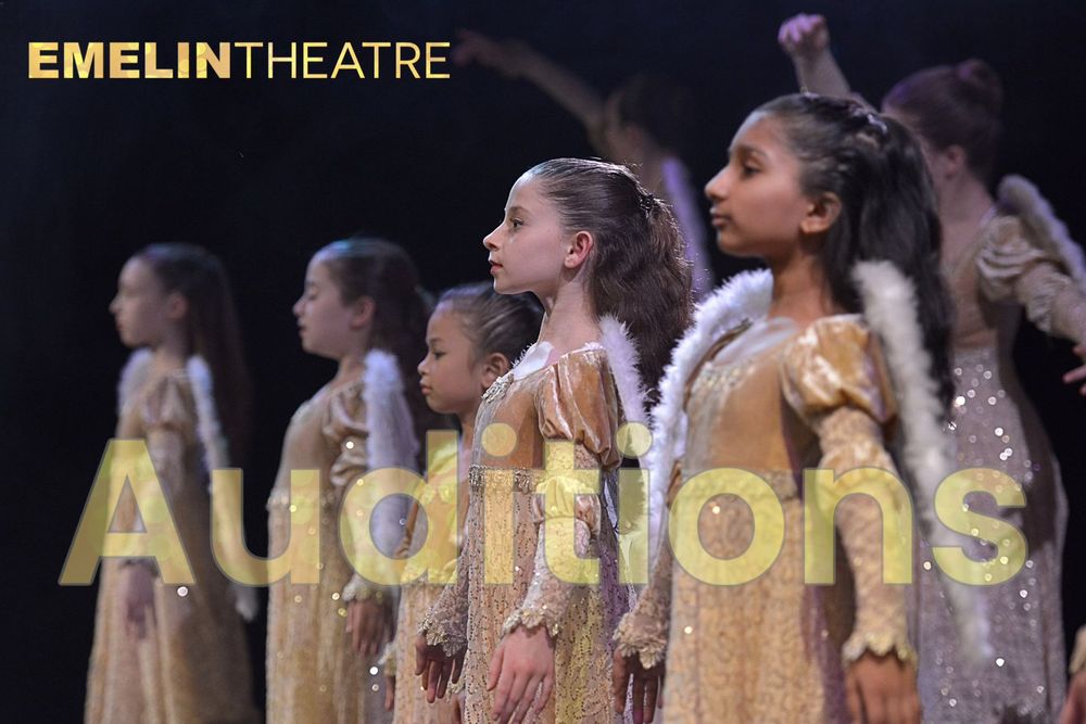 Ballet des Amériques School & Company - social services organization in White Plains, NY