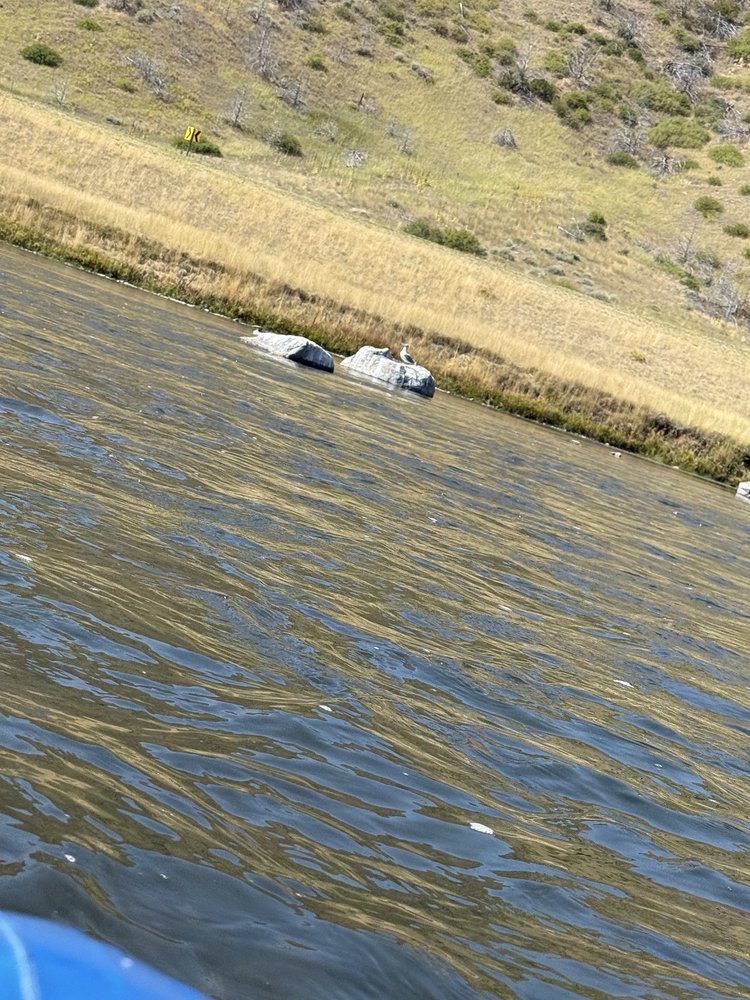 Social spots from Madison River Tubing