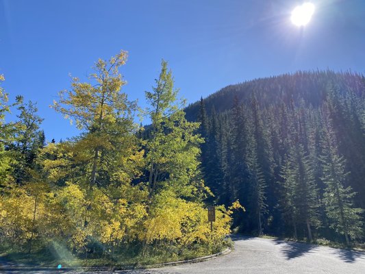 Miette Hot Springs by null