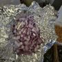 Photo of Los Burritos Tapatios