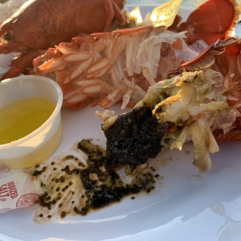 Jackie's Too Restaurant - Did you know that rare lobster roe looks black? - Seafood Near Me - Ogunquit, Maine Jackie's Too Restaurant - Did you know that rare lobster roe looks black? - Seafood Near Me - Ogunquit, Maine