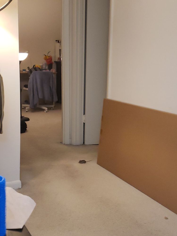 WHITE OAKS APARTMENTS Updated June 2024 9 Rambling Oaks Way