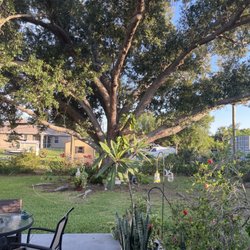Green Topps Tree Service & Landscaping