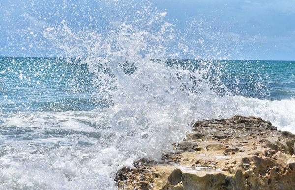 Blowing Rocks Preserve by null