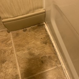 BLACK MOLD BLACK MOLD