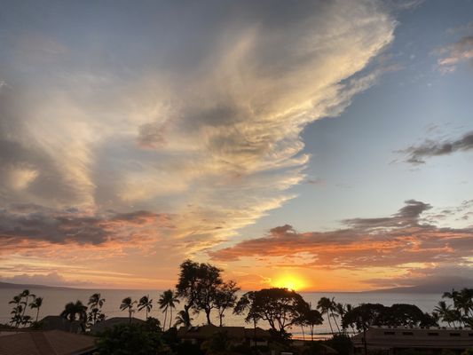 Maui Coast Hotel by null