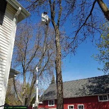 Ideal Tree Service - Tree Services Near Me - Saukville, Wisconsin Ideal Tree Service - Tree Services Near Me - Saukville, Wisconsin