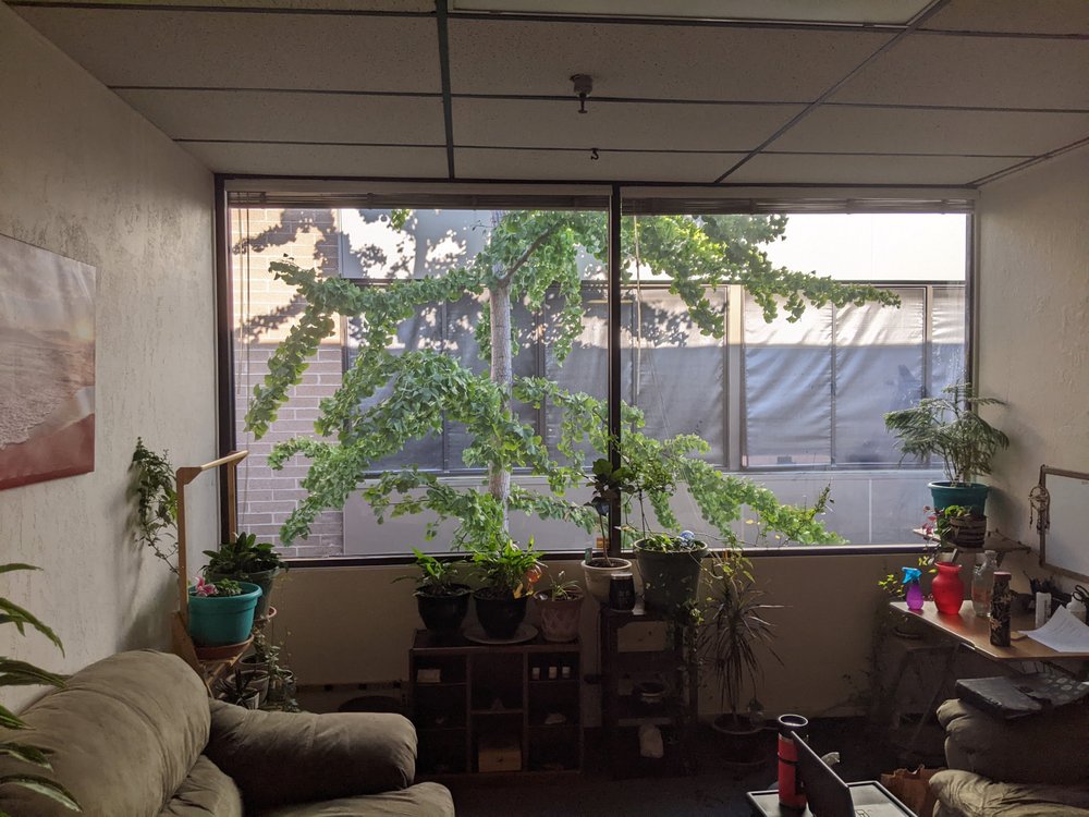 Rogue Holistic Therapy - grief counselor in Medford, OR