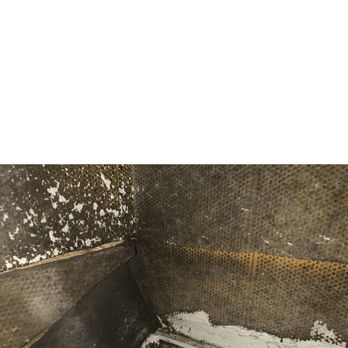 TexCen Realty - Black Mold in AC System of Texcen Realty River Place Community House - Property Management Near Me - Kyle, Texas