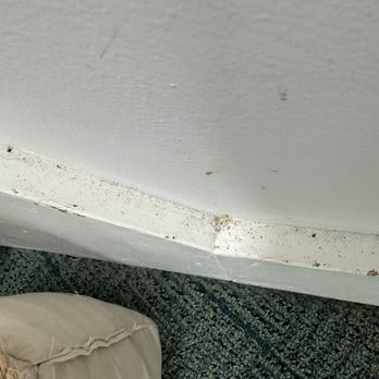 Queen Bee Cleaning - Home Cleaning Near Me - Milford, Connecticut