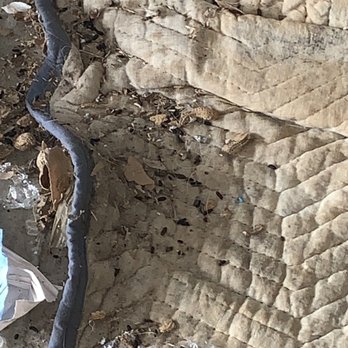 CubeSmart Self Storage - Moving blanket soaked with rat urine and rat poop - Self Storage Near Me - Corpus Christi, Texas