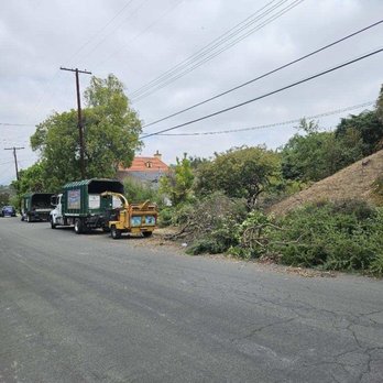 Pineda's Tree Care - Ready for a big job! - Tree Services Near Me Pineda's Tree Care - Ready for a big job! - Tree Services Near Me
