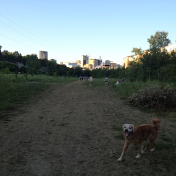 High Bridge Dog Park - Facing north - Dog Parks Near Me - Saint Paul, Minnesota High Bridge Dog Park - Facing north - Dog Parks Near Me - Saint Paul, Minnesota
