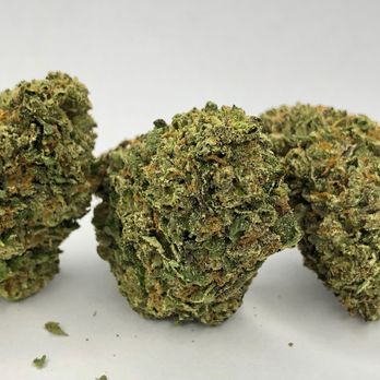 Gentle Touch Collective - Gelato 41 is a high thc hybrid strain that was made by crossing Sunset Sherbet and Thin Mint Cookies. - Cannabis Dispensaries Near Me