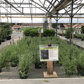 Bordine's - Nurseries & Gardening Near Me - Rochester Hills, Michigan