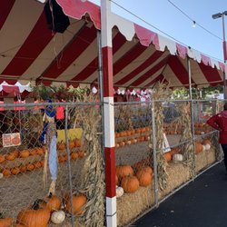 De La Trees & Pumpkins