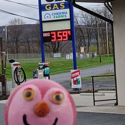 Texaco Gas Station