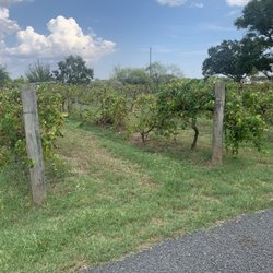 Lavaca Bluffs Vineyard and Winery