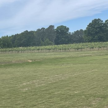 Jules J Berta Vineyards - Wineries Near Me - Albertville, Alabama Jules J Berta Vineyards - Wineries Near Me - Albertville, Alabama