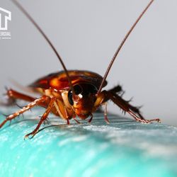 TNT Home & Commercial Services