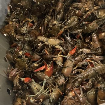 OM Seafood Company - Live crawfish! - Seafood Markets Near Me - Portland, Oregon