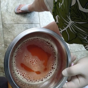 Pet Hospital The-Hilo - The almost cup of fluid removed from a chihuahua's chest cavity - Veterinarians Near Me - Hilo, Hawaii
