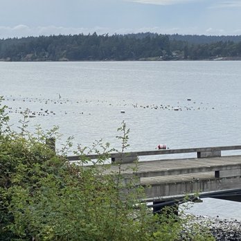 Westcott Bay Shellfish Company - Oyster farm - Seafood Markets Near Me - Friday Harbor, Washington