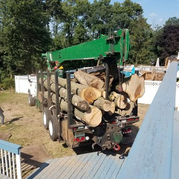 Nature Tree Service - Tree Services Near Me - Oak Ridge, New Jersey Nature Tree Service - Tree Services Near Me - Oak Ridge, New Jersey