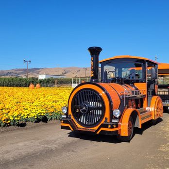 Spina Farms - Farmers Market Near Me - Morgan Hill, California Spina Farms - Farmers Market Near Me - Morgan Hill, California