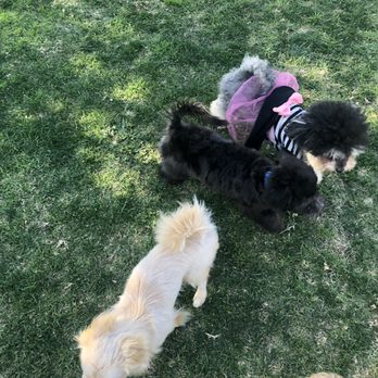 Rancho Simi Recreation & Park District - Friends! - Dog Parks Near Me - Simi Valley, California