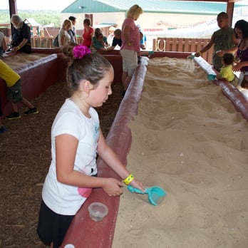 Dinosaur World - Museums Near Me - Glen Rose, Texas