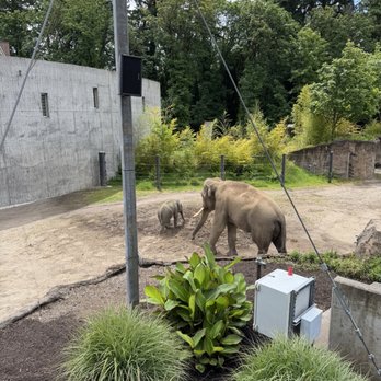 Oregon Zoo - Zoos Near Me - Portland, Oregon Oregon Zoo - Zoos Near Me - Portland, Oregon