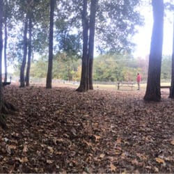 The Barking Lot Dog Park At Saluda Shoals