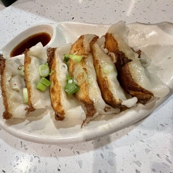 Ramen 369 - Veggie Gyoza - Ramen Near Me - Delray Beach, Florida