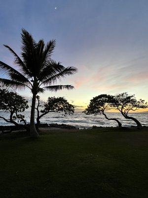 Wailea Beach by null