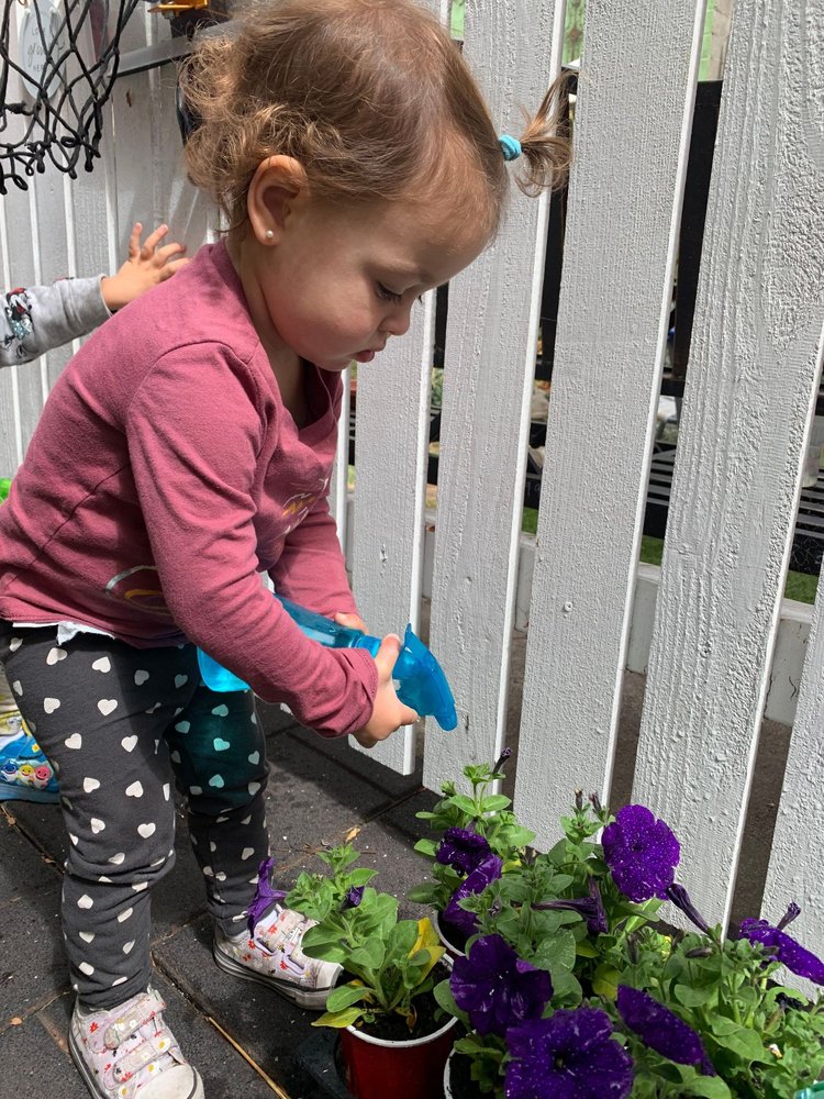 Little Lion Preschool & Childcare - childcare center in Alameda, CA