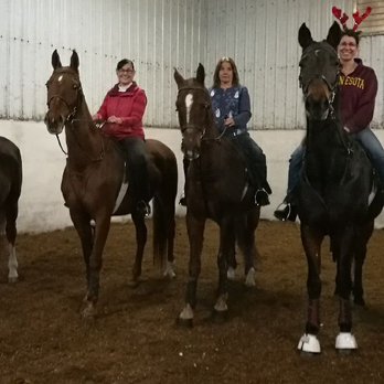 Manahan Stables LLC - Adult Riders - Horseback Riding Near Me - Saint Francis, Minnesota Manahan Stables LLC - Adult Riders - Horseback Riding Near Me - Saint Francis, Minnesota