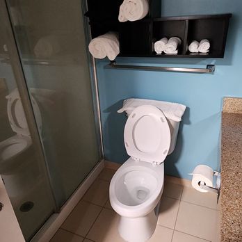 Courtyard by Marriott New Bern - I like a shower with a closing door. - Hotels Near Me - New Bern, North Carolina
