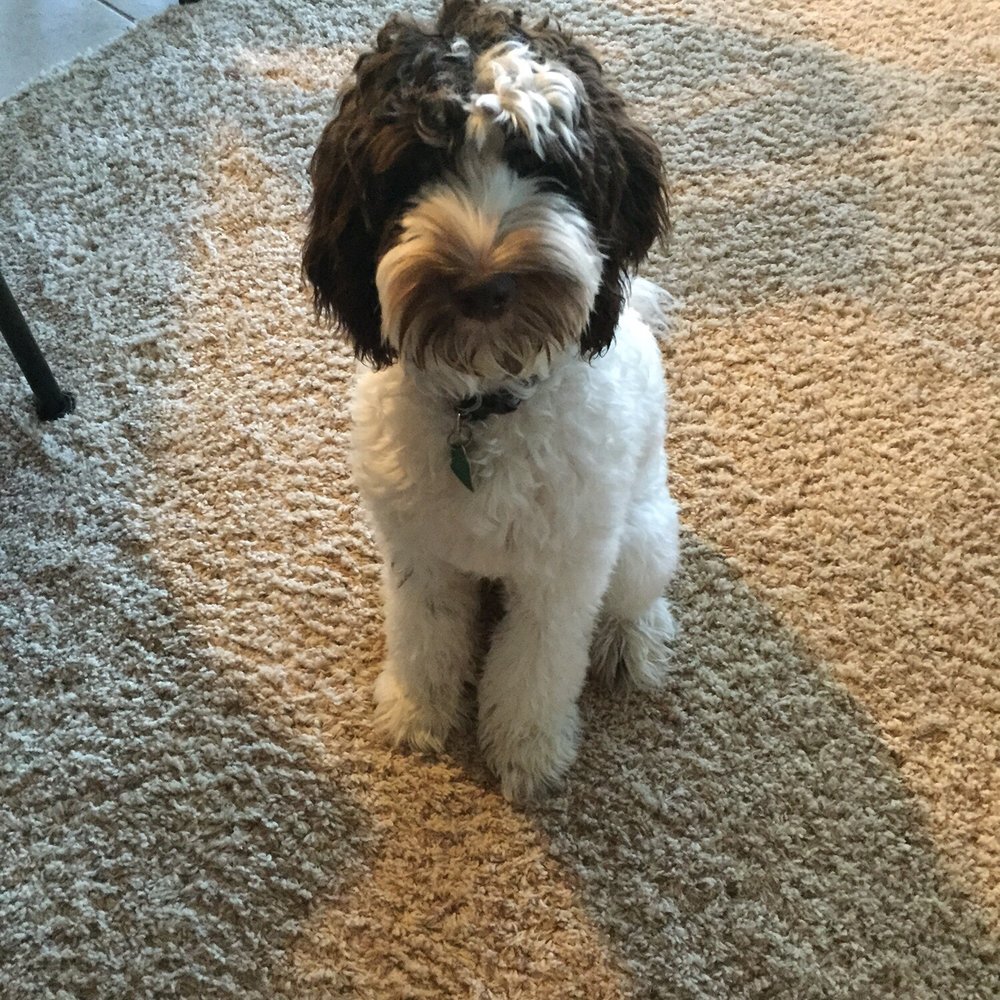 He's clean! He's clean!