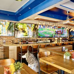 Wolfs Lair - Sports bar 86" to 98" screens & surround sound