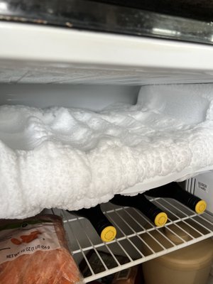 Shell Island Resort by null