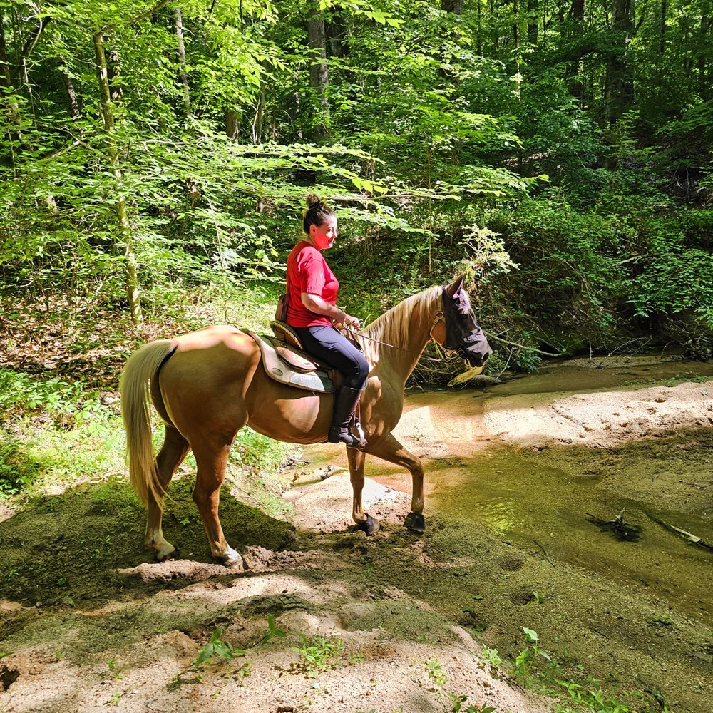 Painted Sky Ranch Riding School - Horseback Riding Near Me - Mooresville, North Carolina Painted Sky Ranch Riding School - Horseback Riding Near Me - Mooresville, North Carolina