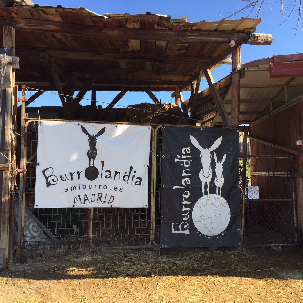 THE BEST 10 ACTIVE LIFE near C. CARNICERÍA 3, 28250 TORRELODONES, SPAIN -  Updated 2026 - Hours - Yelp