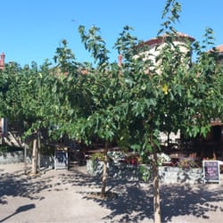 Auberge De L'Ormeau - La plus jolie place de la cité médiévale du Castellet située devant le restaurant.