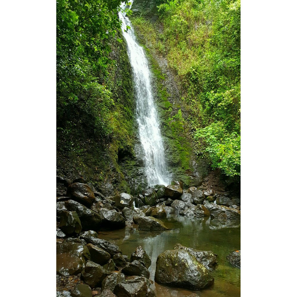 Lulumahu Falls - Hiking Near Me - Honolulu, Hawaii Lulumahu Falls - Hiking Near Me - Honolulu, Hawaii