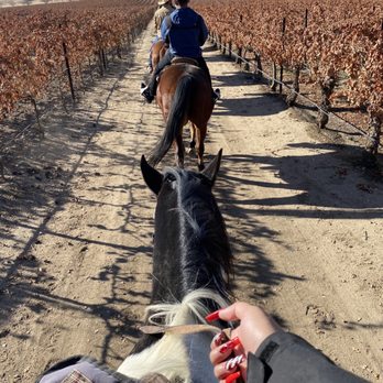Central Coast Trailrides - Horseback Riding Near Me