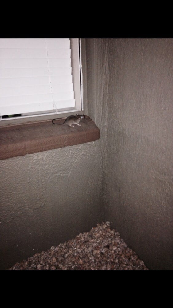 ATWATER APARTMENTS Updated May 2024 42 Photos & 34 Reviews 7750 N