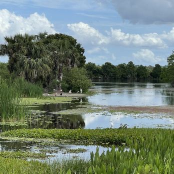 Orlando Wetlands - Parks Near Me - Christmas, Florida